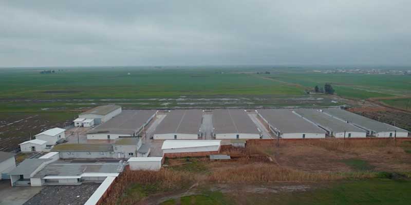 farm-dam-o-toyor-kourosh