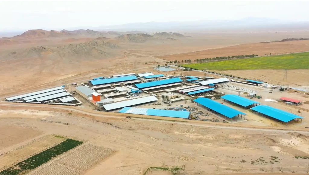 کشاورزی مکانیزه اصفهان کشت