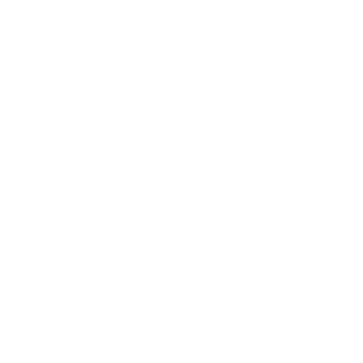 کارآفرین برتر