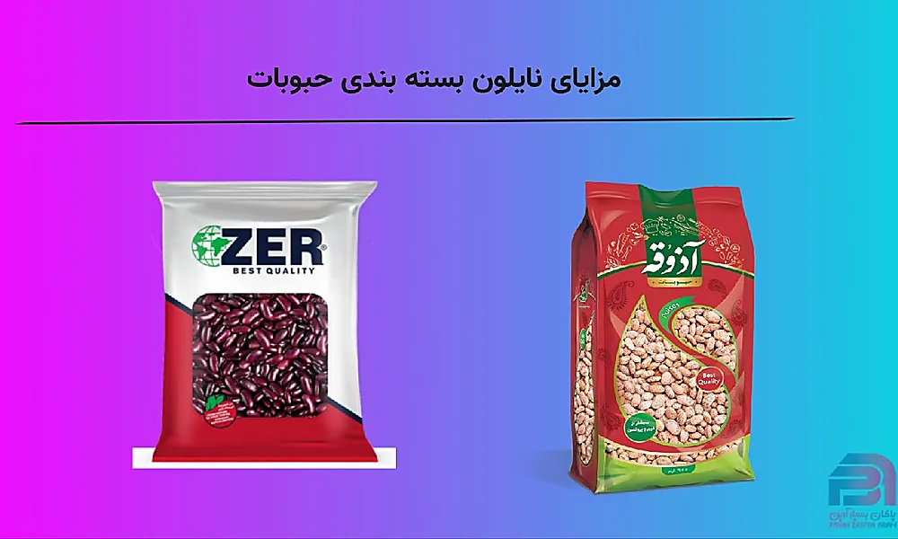 پاکان بسپار آرین — تصویر 7