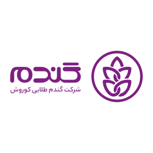 گندم طلایی