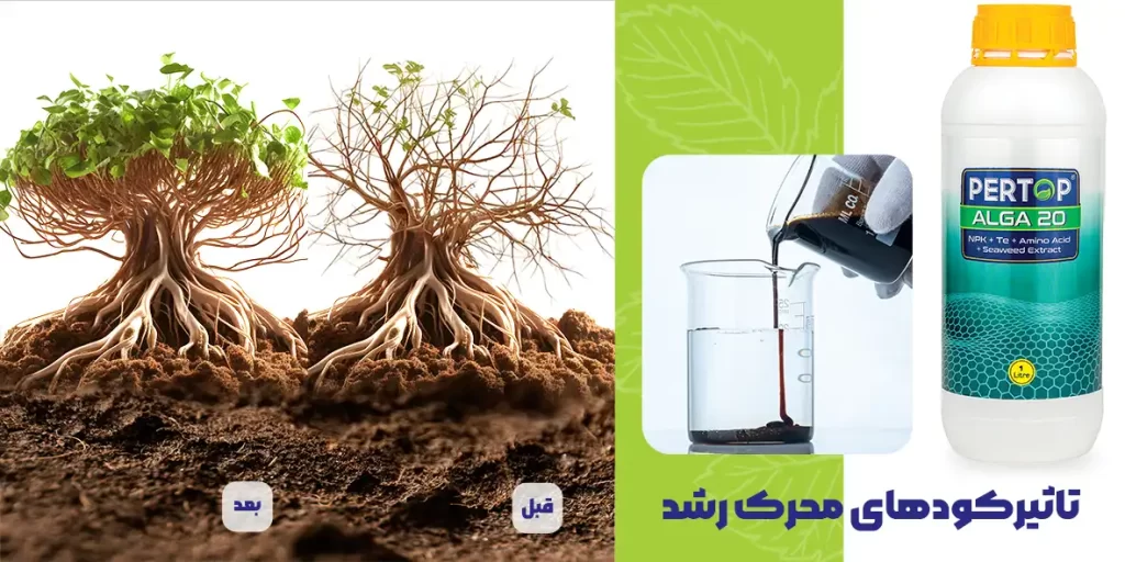 پرگاس شیمی ایرانیان — تصویر 9