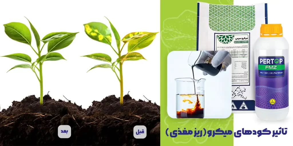 کود ریز مغزی کشاورزی میکرو