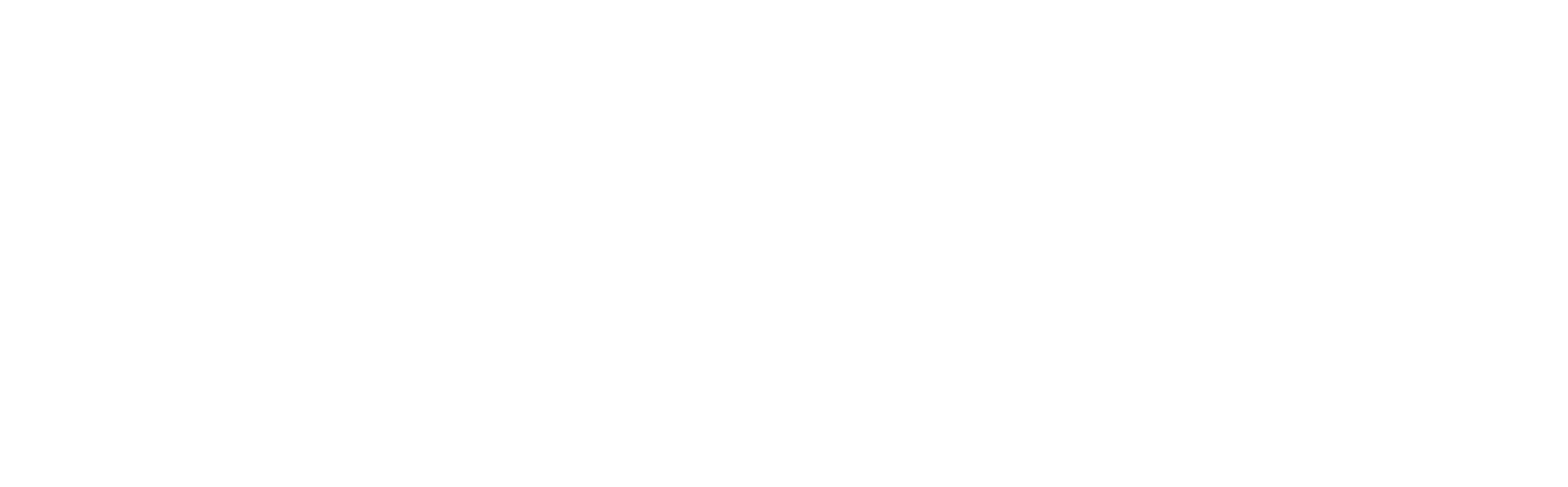پلیمر آریاساسول — تصویر 3