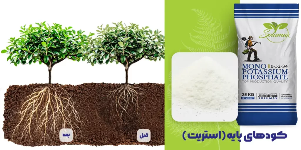پرگاس شیمی ایرانیان — تصویر 10