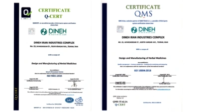 dineh standards
