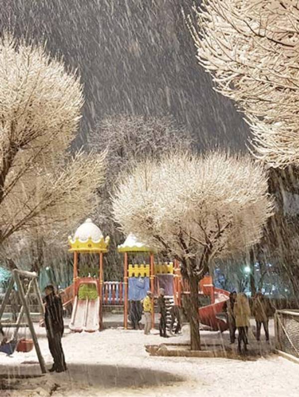 شهرداری تهران — تصویر 6